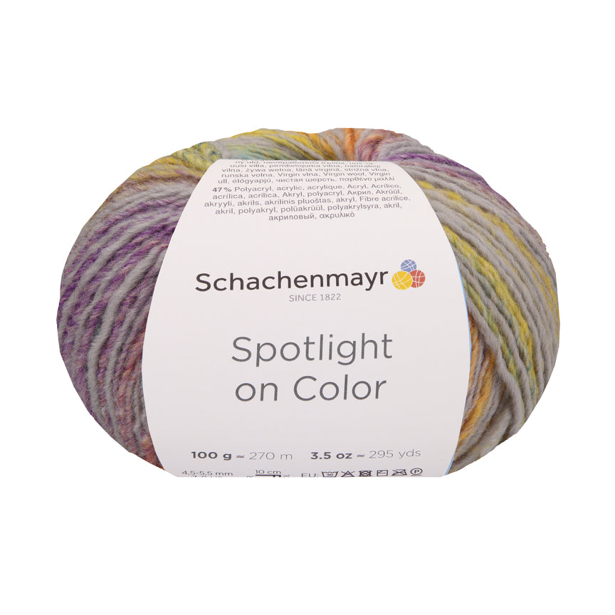Schachenmayr Spotlight on Color in der Farbe platin color